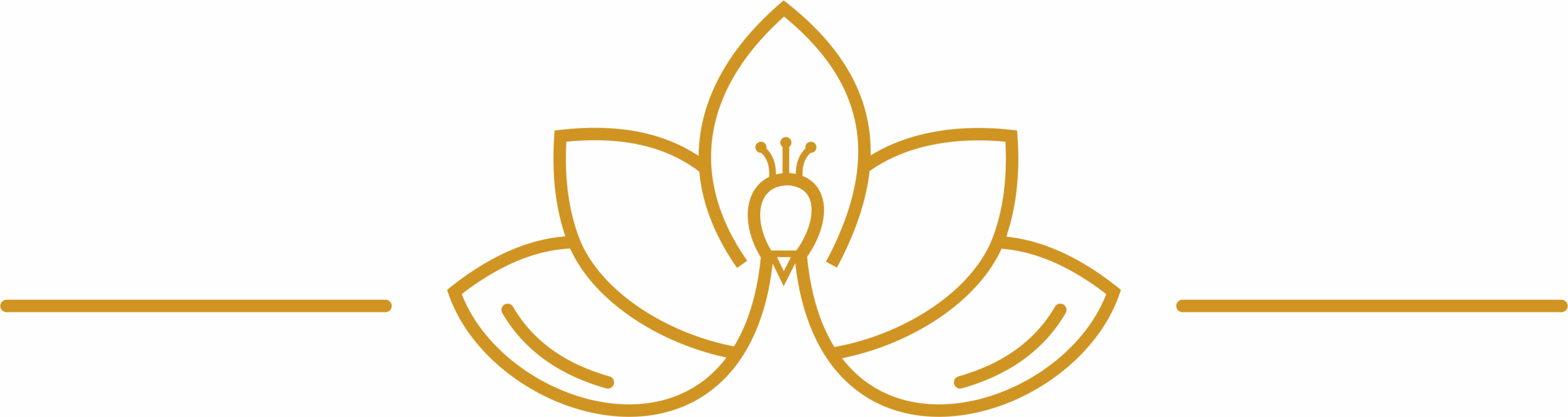 ASBL International Natraaj Youth Ballet